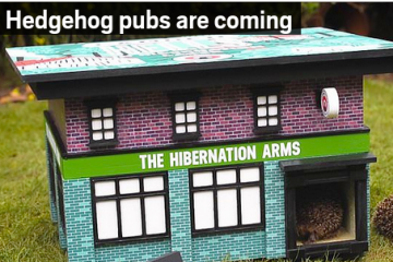 Hedgehog Pub