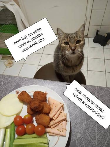 Oszkár